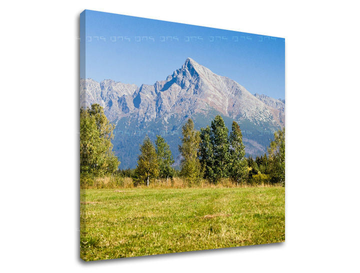 Pop art tablou pe pânză cu motivul SLOVACIA, pajiște, copaci, cer, peisaj în alb-albastru nuanțe, atmosferă liniștită, natură, potrivit pentru birou de lucru – principală