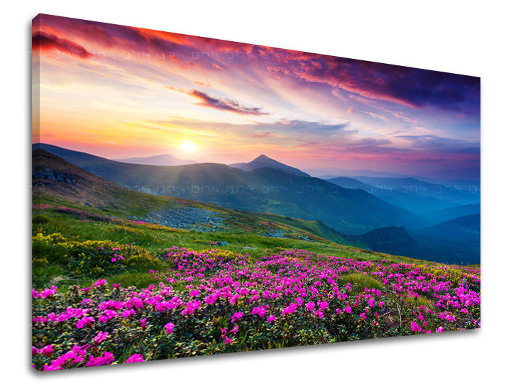 Clasic tablou pe pânză cu motivul SLOVACIA, munți, cer, soare, peisaj în violet-albastru nuanțe, atmosferă liniștită, natură și atmosferă de primăvară – principală