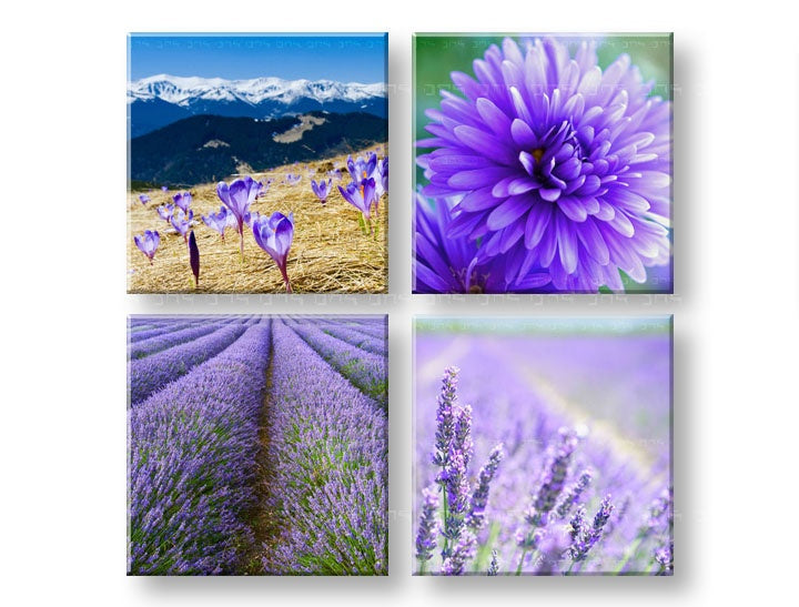 Colaj tablou cu motivul Wonderful view, munți, peisaj în alb-violet nuanțe | Tablou de perete Wonderful view, atmosferă de primăvară și natură – previzualizare