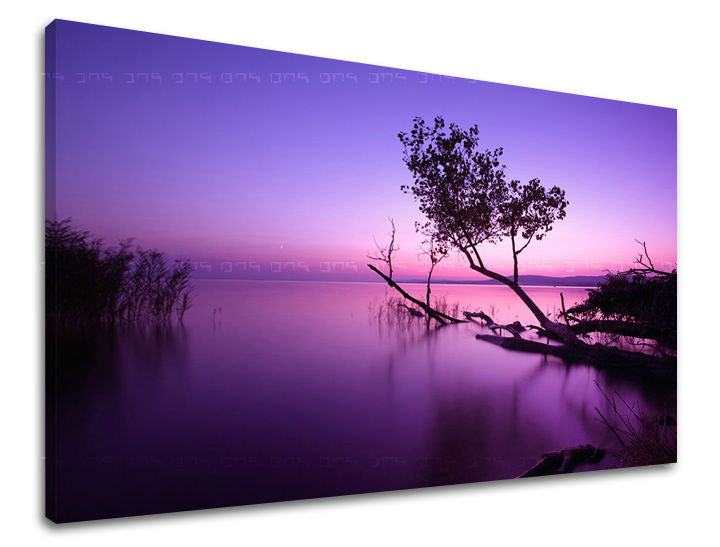 Clasic tablou pe pânză cu motivul APUS DE SOARE, copac, cer, natură în violet-roz nuanțe, atmosferă liniștită, natură și singurătate, potrivit pentru dormitor – principală