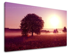 Clasic tablou pe pânză cu motivul APUS DE SOARE, copac, soare, câmp, ceață ușoară în violet-roz nuanțe, atmosferă liniștită, natură și singurătate, potrivit pentru dormitor – principală