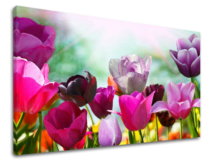O pânză imprimată cu lalele vibrante în nuanțe de roz, violet și fucsia, cu o ramă de lemn vizibilă, Papilora.
