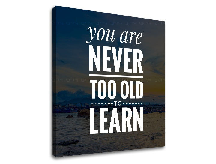 Modern tablou cu motivul You are never too old, ocean, munți în alb nuanțe | Motivațional tablou de perete You are never too old, natură și înțelepciune – previzualizare