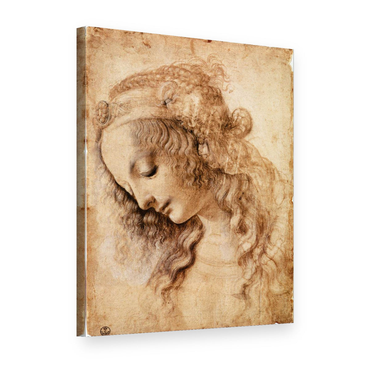 Tablou pe pânză Cap de femeie – Leonardo da Vinci, vedere 3D