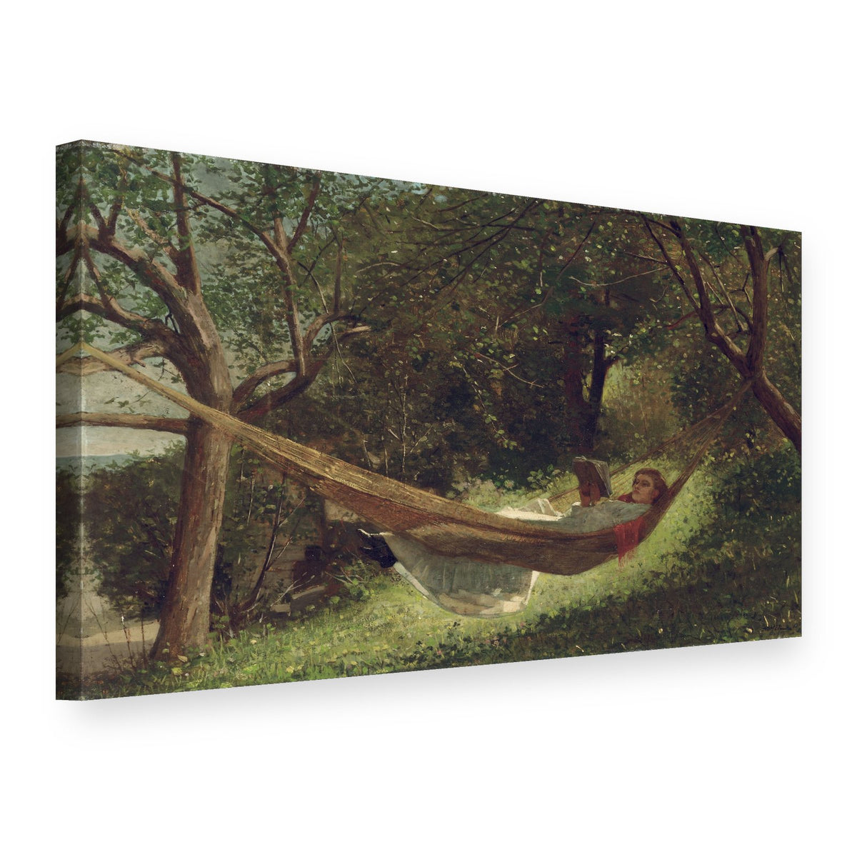 Tablou pe pânză Fată în hamac – Winslow Homer, vedere 3D