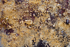 În stil boho tablou pe pânză cu motivul copaci, pădure, cer, natură în alb-maro nuanțe, atmosferă liniștită, natură, potrivit pentru birou de lucru – produs