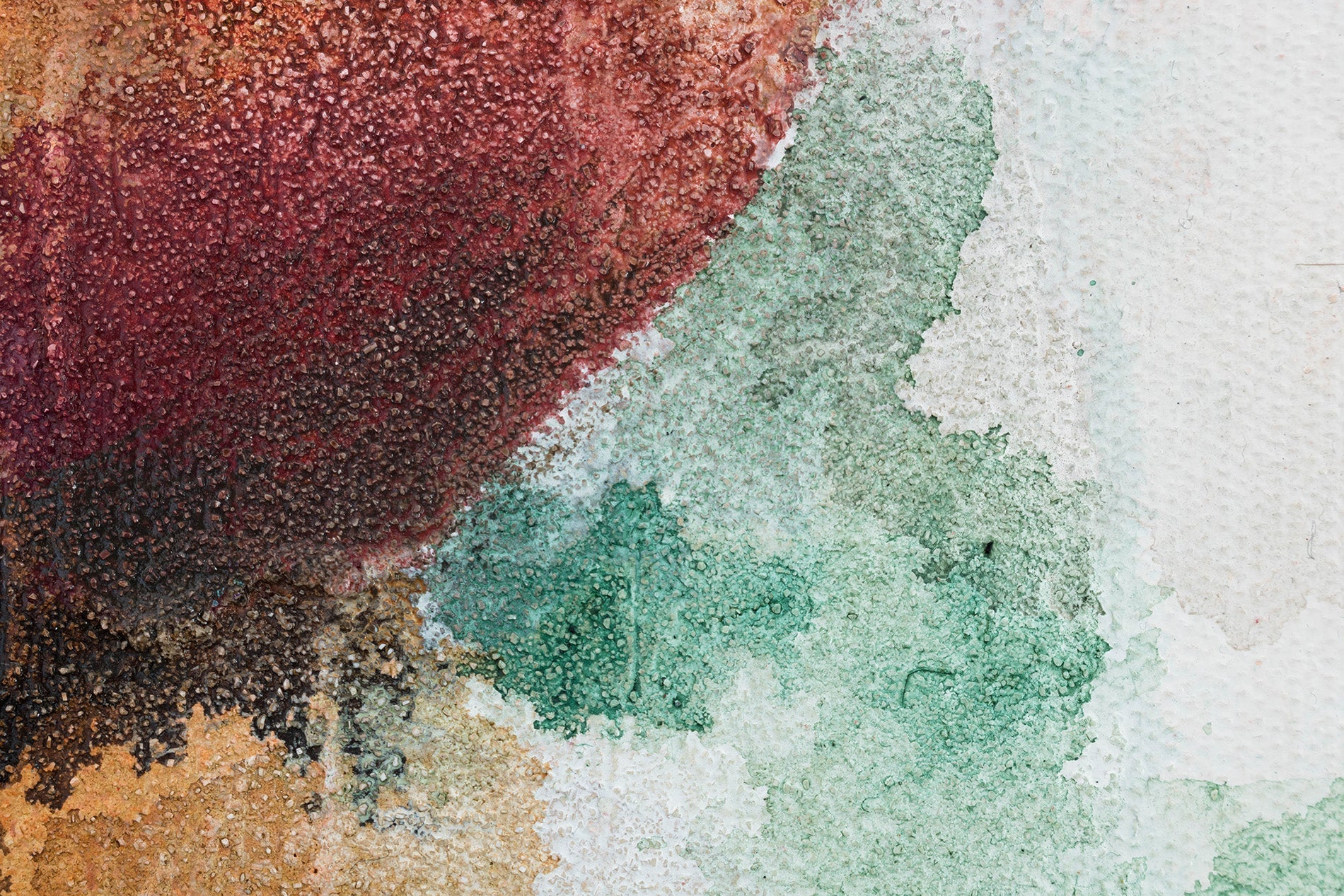 Pictat manual tablou pe pânză cu motivul flori, trandafiri, motiv botanic, natură în alb-bej nuanțe, atmosferă veselă, natură și atmosferă de primăvară – produs, vedere 6