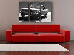 Pictat manual POP Art pictura BULLIT 3 părți bul