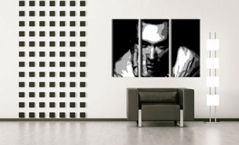 Pictate manual POP Art pictura Morrisey 3 bucăți ciumă