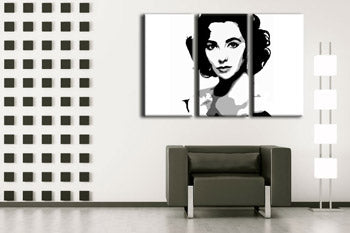Pictate manual POP Art pictura Elizabhet Taylor 3 bucăți et